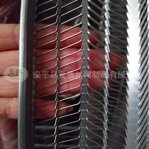 有筋擴張網